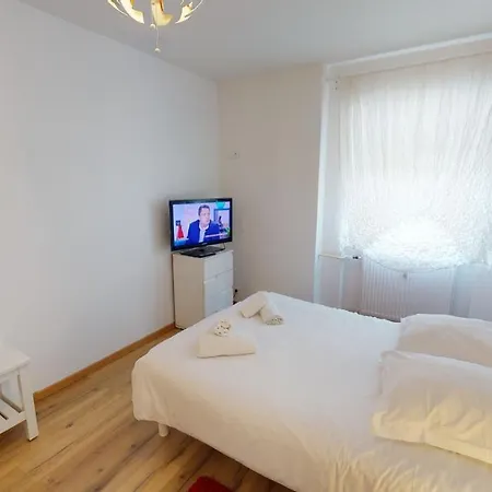 Aux Bons Amis - Parlement/orangerie 公寓 斯特拉斯堡